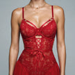 Dripdrip Seductive Cut-Out Lace Teddy - Sheer Mesh High-Leg Bodysuit dripdrip